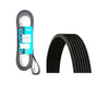 7PK2713 DAYCO V-Ribbed Belt Fits Ford Transit MK6 MK7 2000 TO 2014 1099892