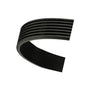 7PK3120 Drive V-Ribbed Belt Fits Ford Transit Ranger 1750991 CC1Q6C301FA