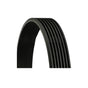 7PK3120 Drive V-Ribbed Belt Fits Ford Transit Ranger 1750991 CC1Q6C301FA