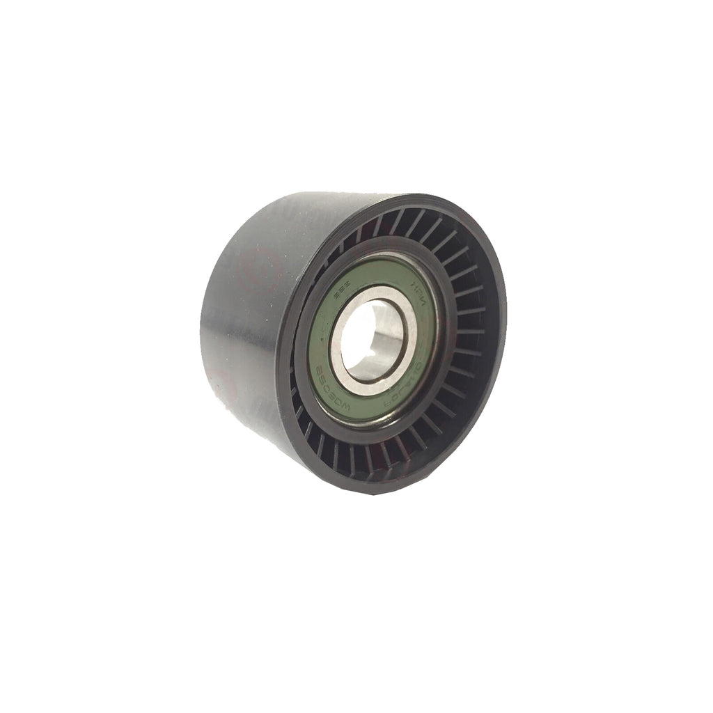 V Ribbed Belt Guide Pulley Fits Laguna MK2 Trafic MK2 Vivaro 1.9 dCi  30652243