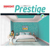 SKY BLUE-WHITE POLYMER-BASED LIQUID INTERIOR WALLPAPER SILK COATING PAINT